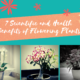 7 Scientific and Health Benefits of Having Flowering Plants at your home