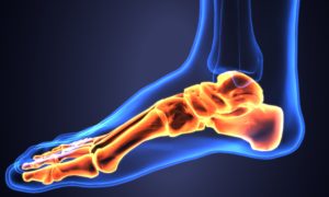 Ankle