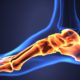Ankle