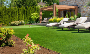 best sod installation near me