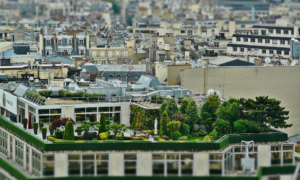 Terrace Garden