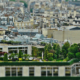 Terrace Garden