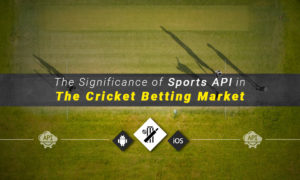cricket betting software