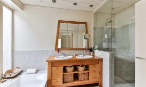 Shower Screen