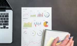 PPC Campaigns